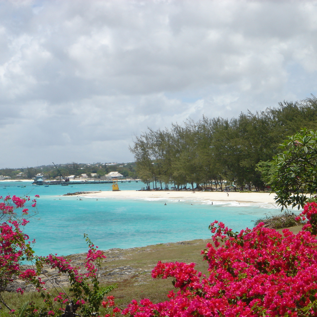 Замечательная страна Барбадос