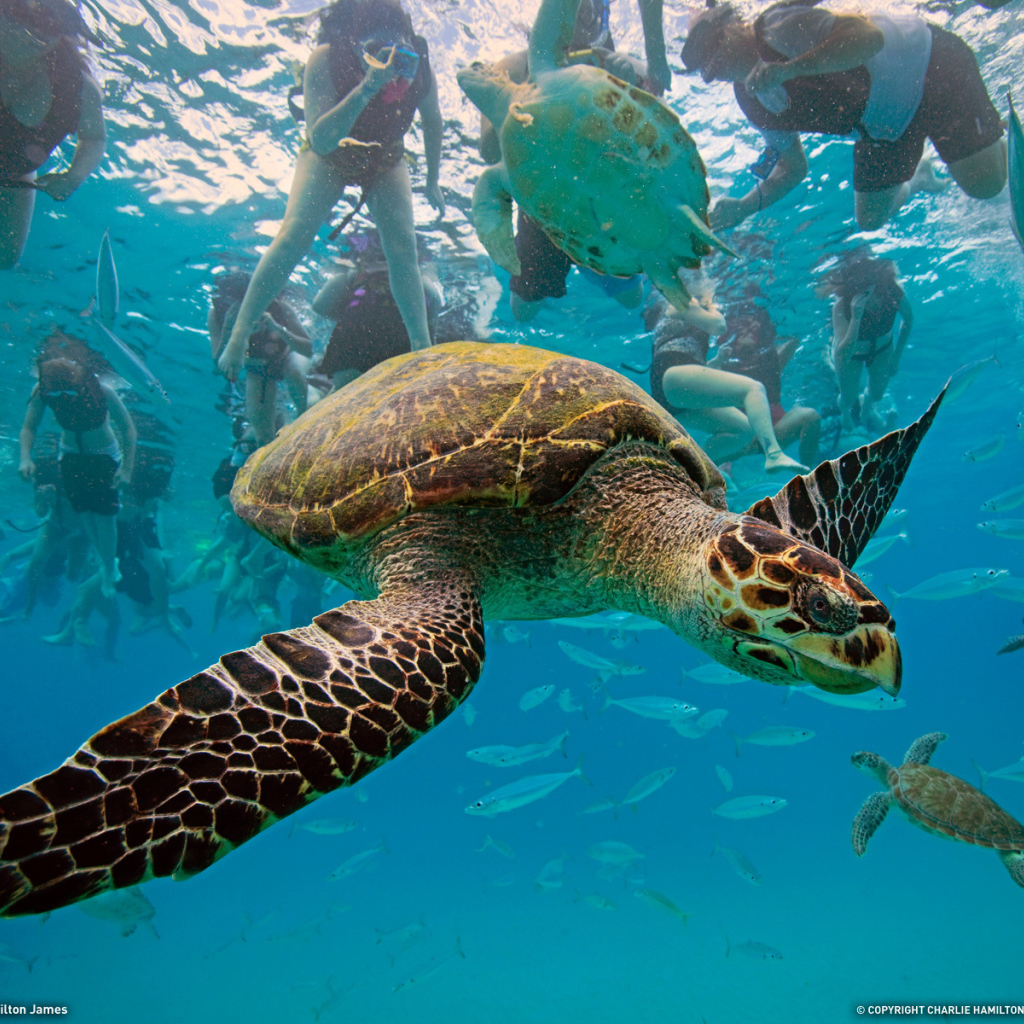 Туристическое место в Барбадос