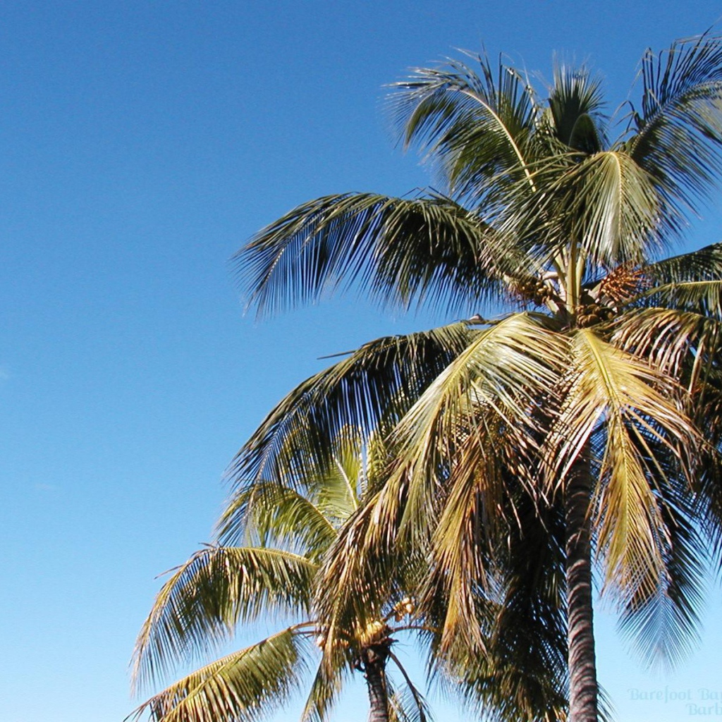 Замечательное место в Барбадос