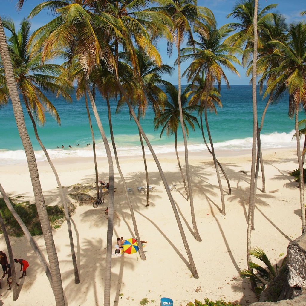 Захватывающие дух место в Барбадосe