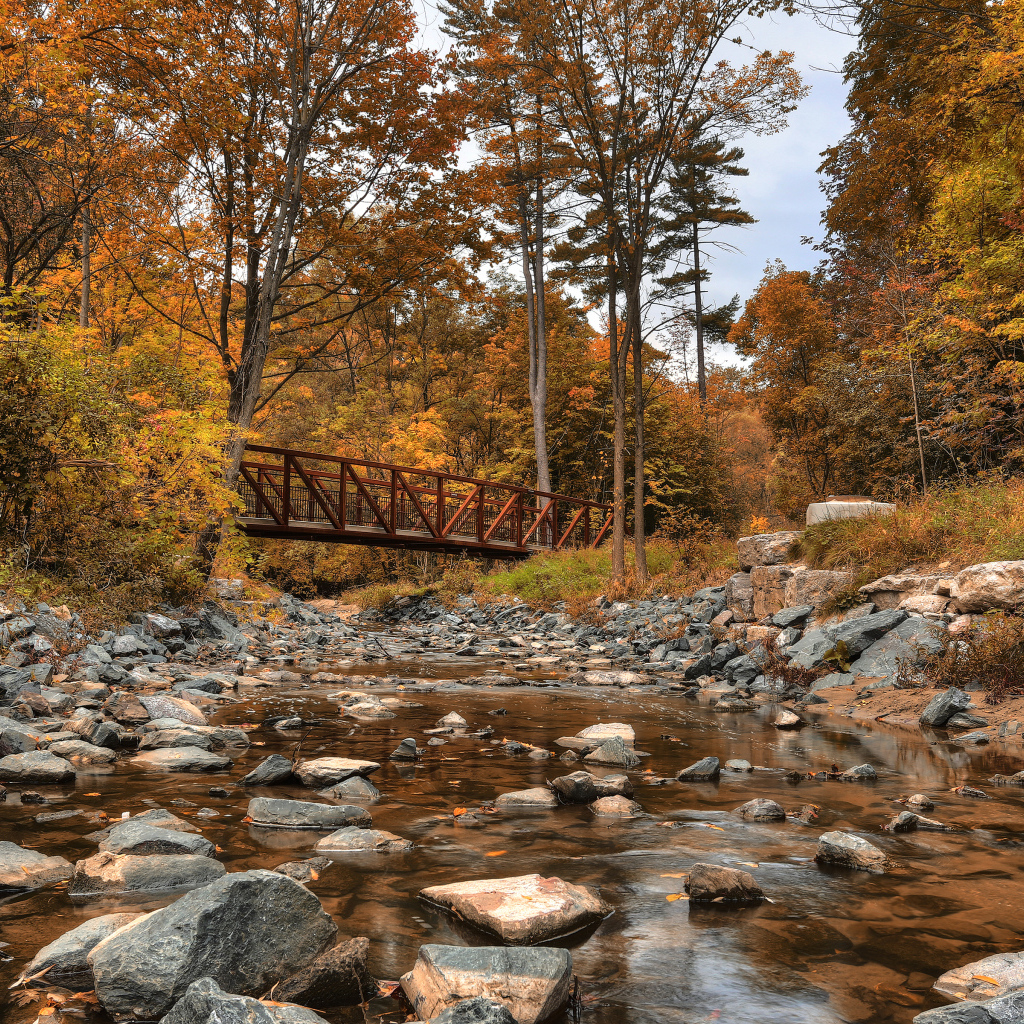 Красивый парк в Торонто, Канада