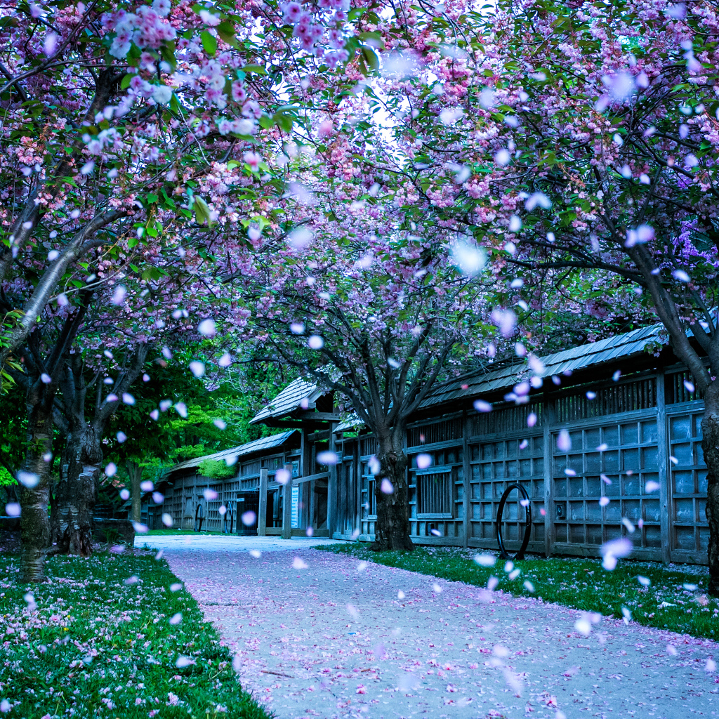 Кария парк в городе Миссисауга, Канада