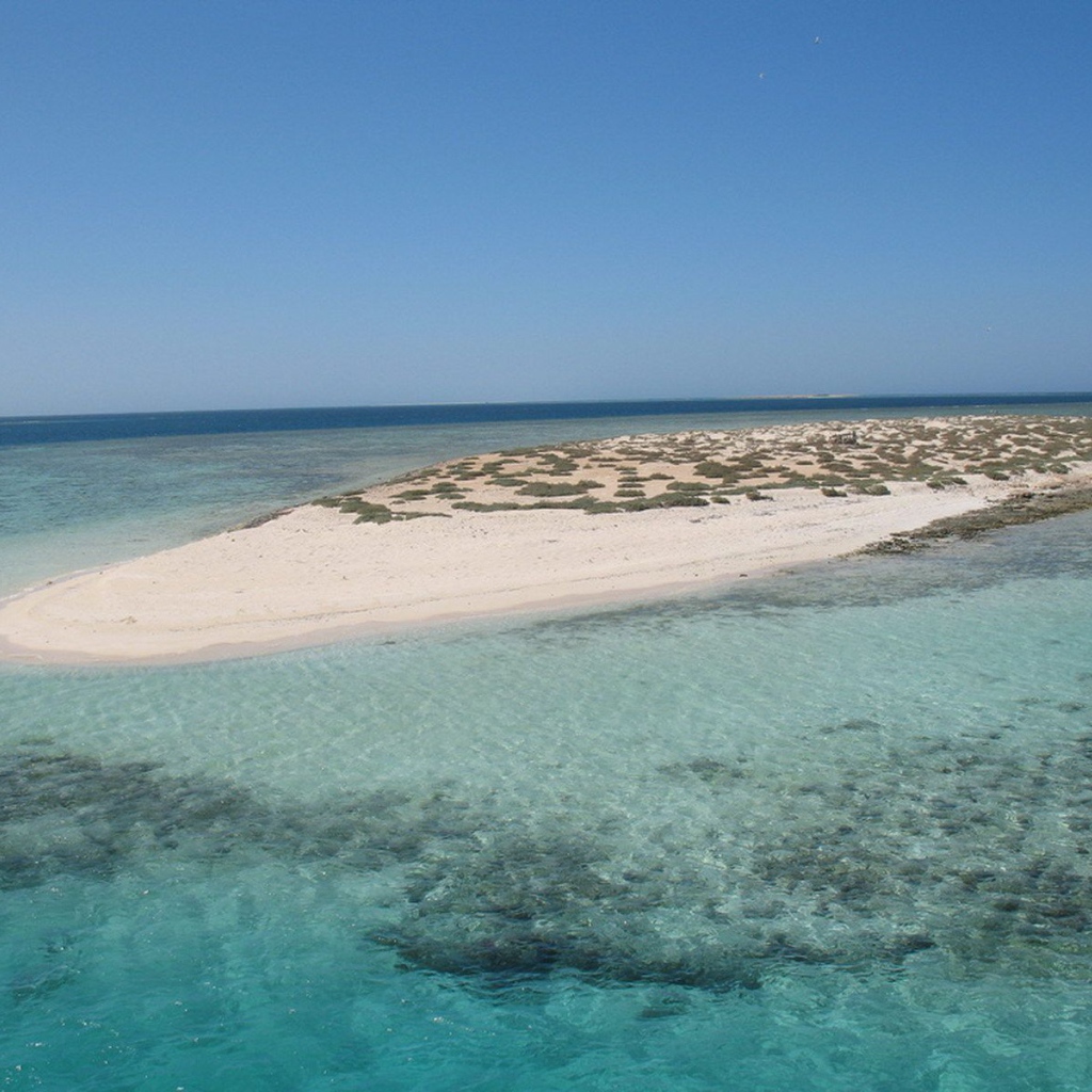 Песчаный остров у берега на курорте Марса Алам, Египет