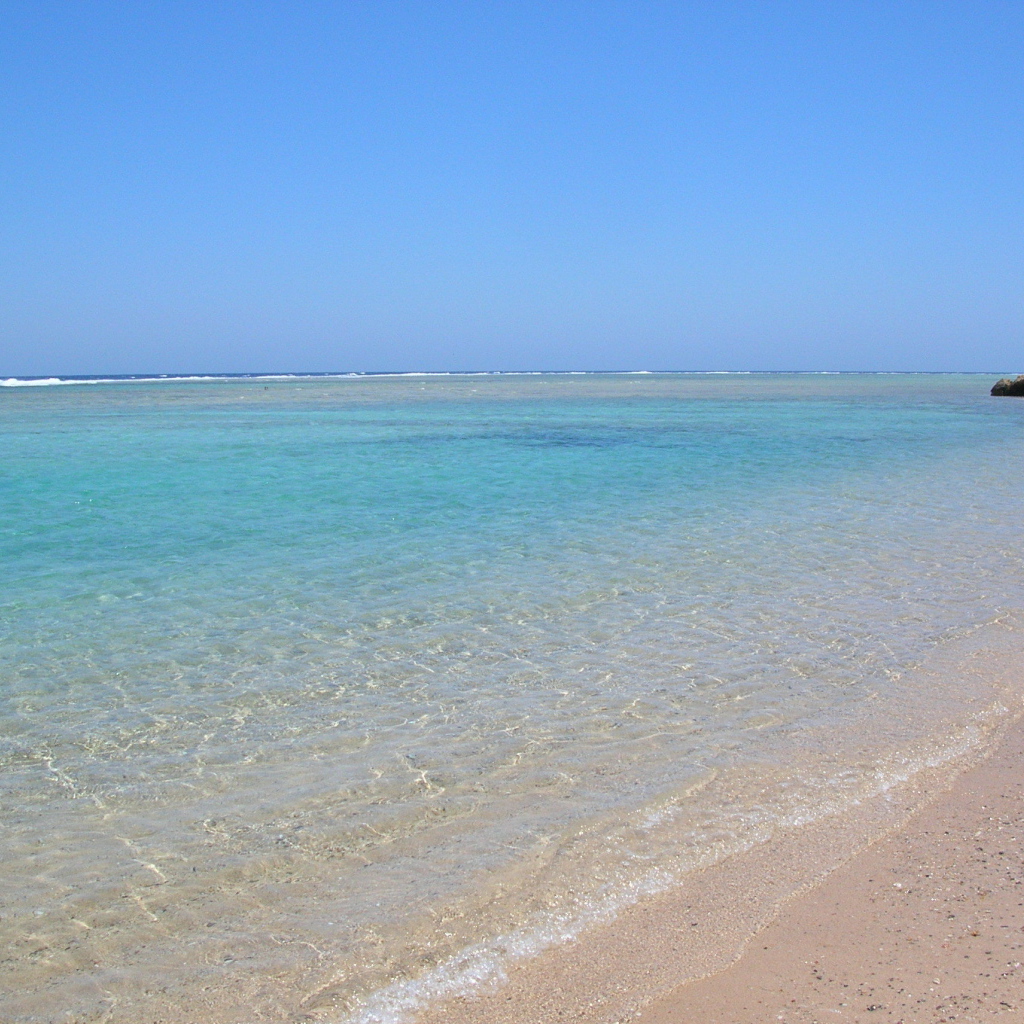 Весенний отдых на курорте Марса Алам, Египет