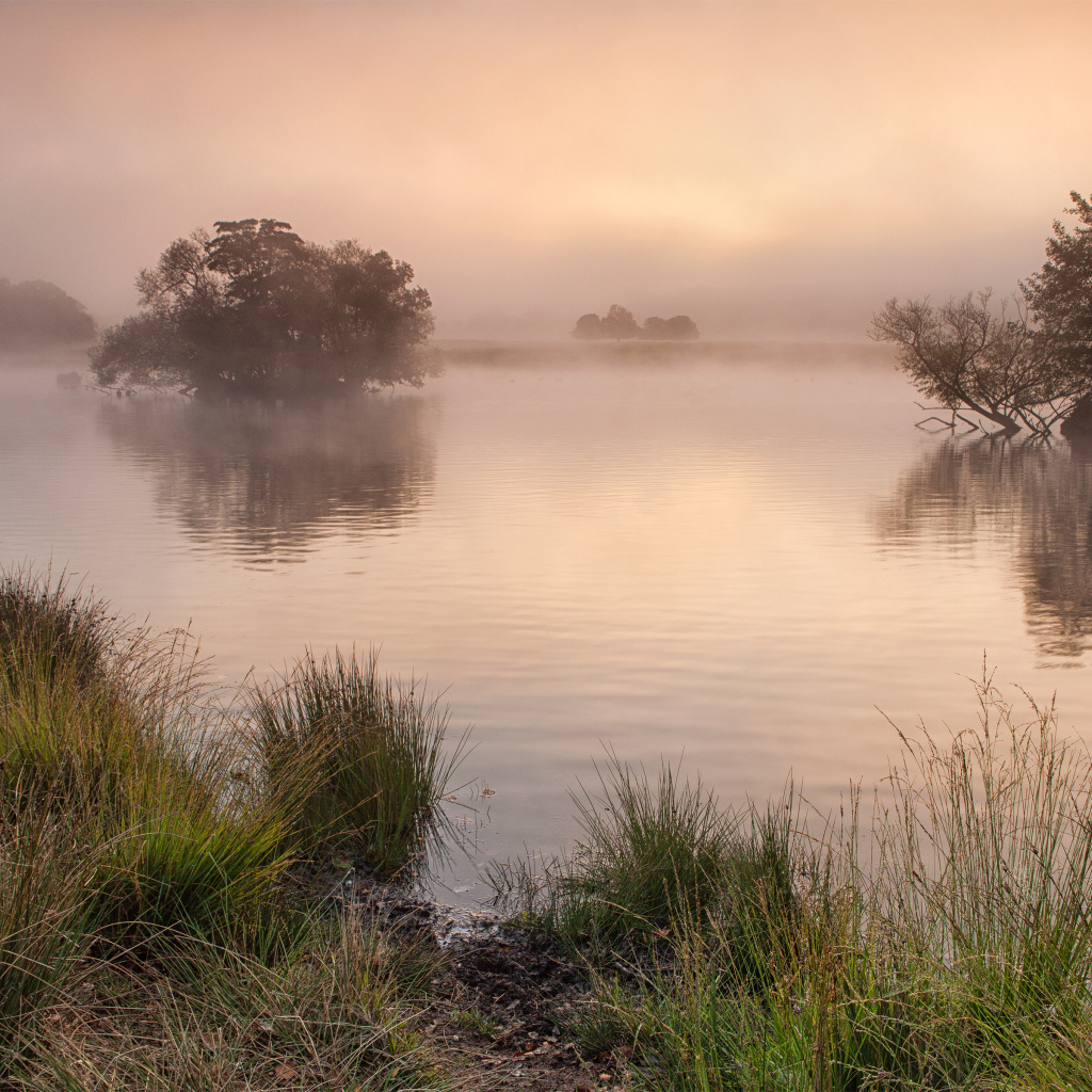Ричмонд-парк, Суррей, Великобритания
