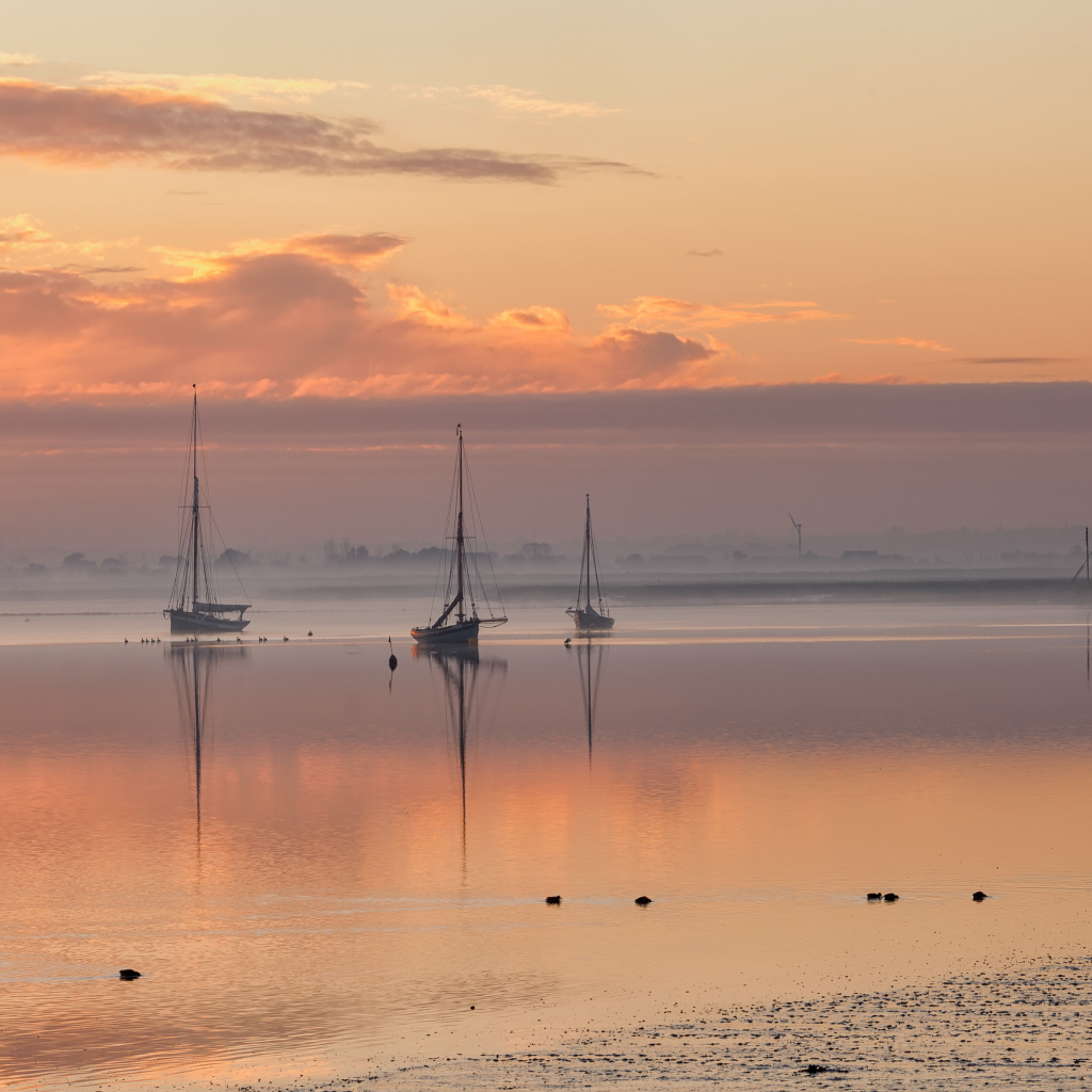 Восход солнца над Молдон, Эссекс, Великобритания