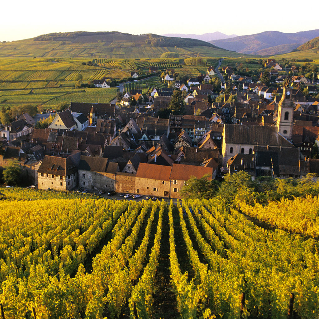 Город среди виноградников в Эльзасе, Франция