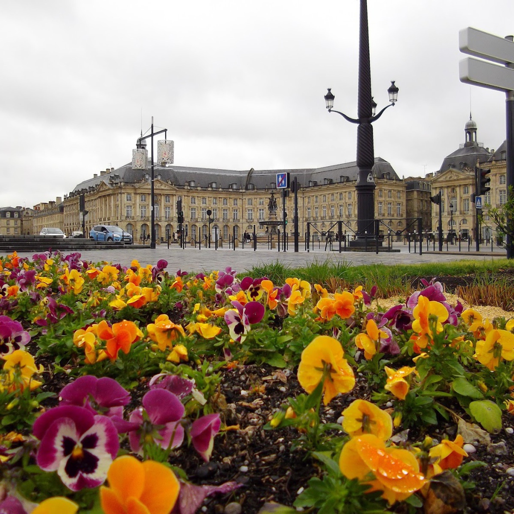 Цветочная клумба в Бордо, Франция