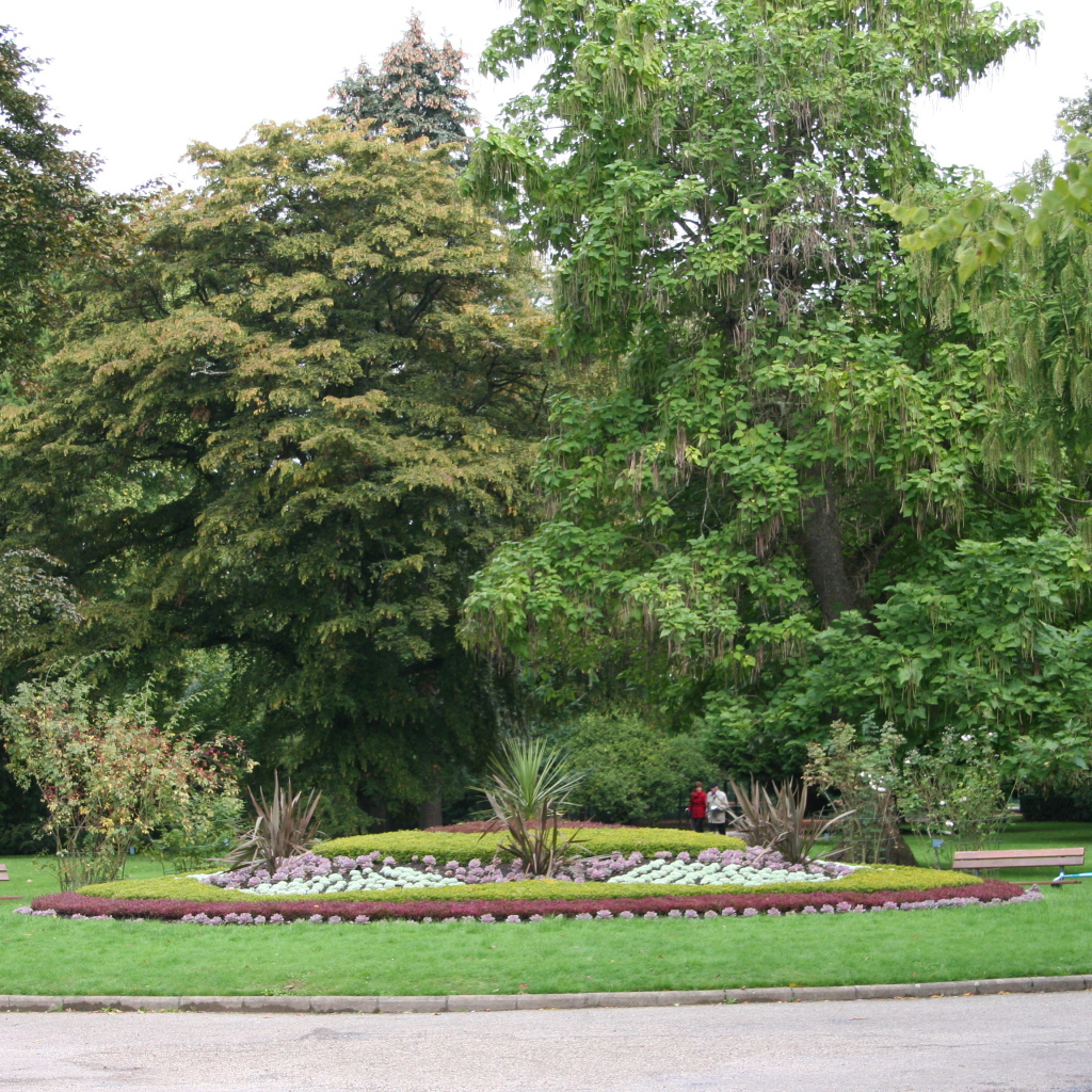 Клумба в городе Виши, Франция