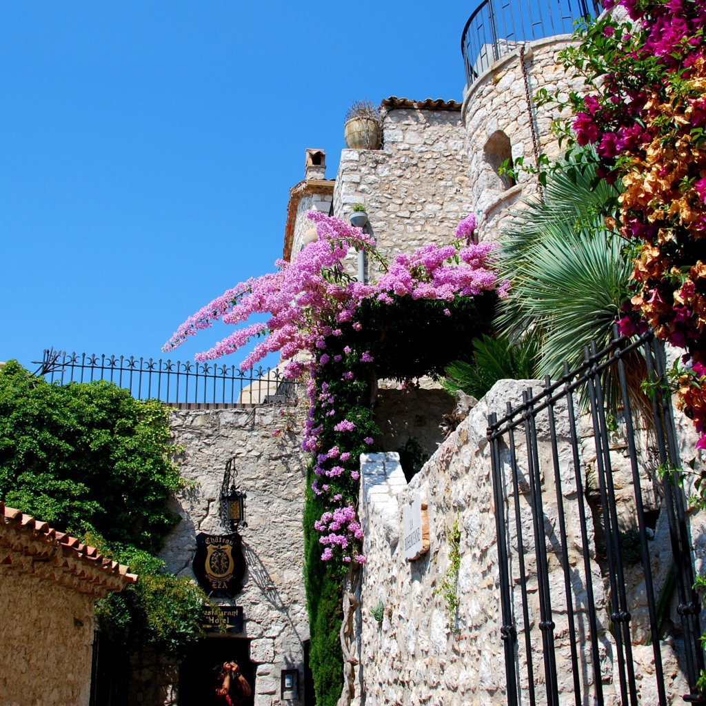 Цветы на курорте Эз, Франция