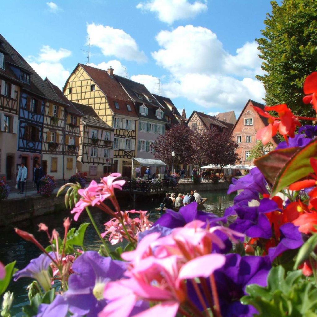 Цветы в Эльзасе, Франция