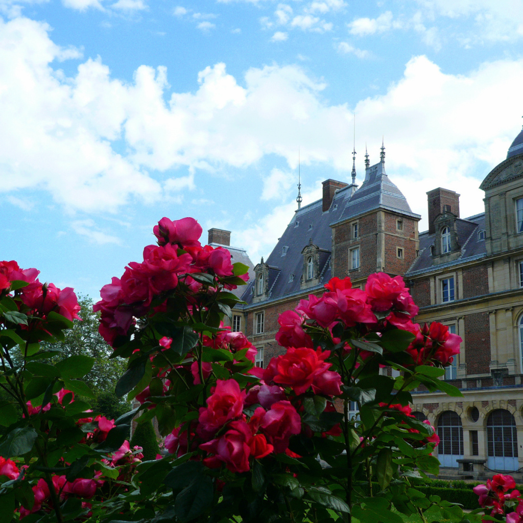 Цветы в Нормандии, Франция