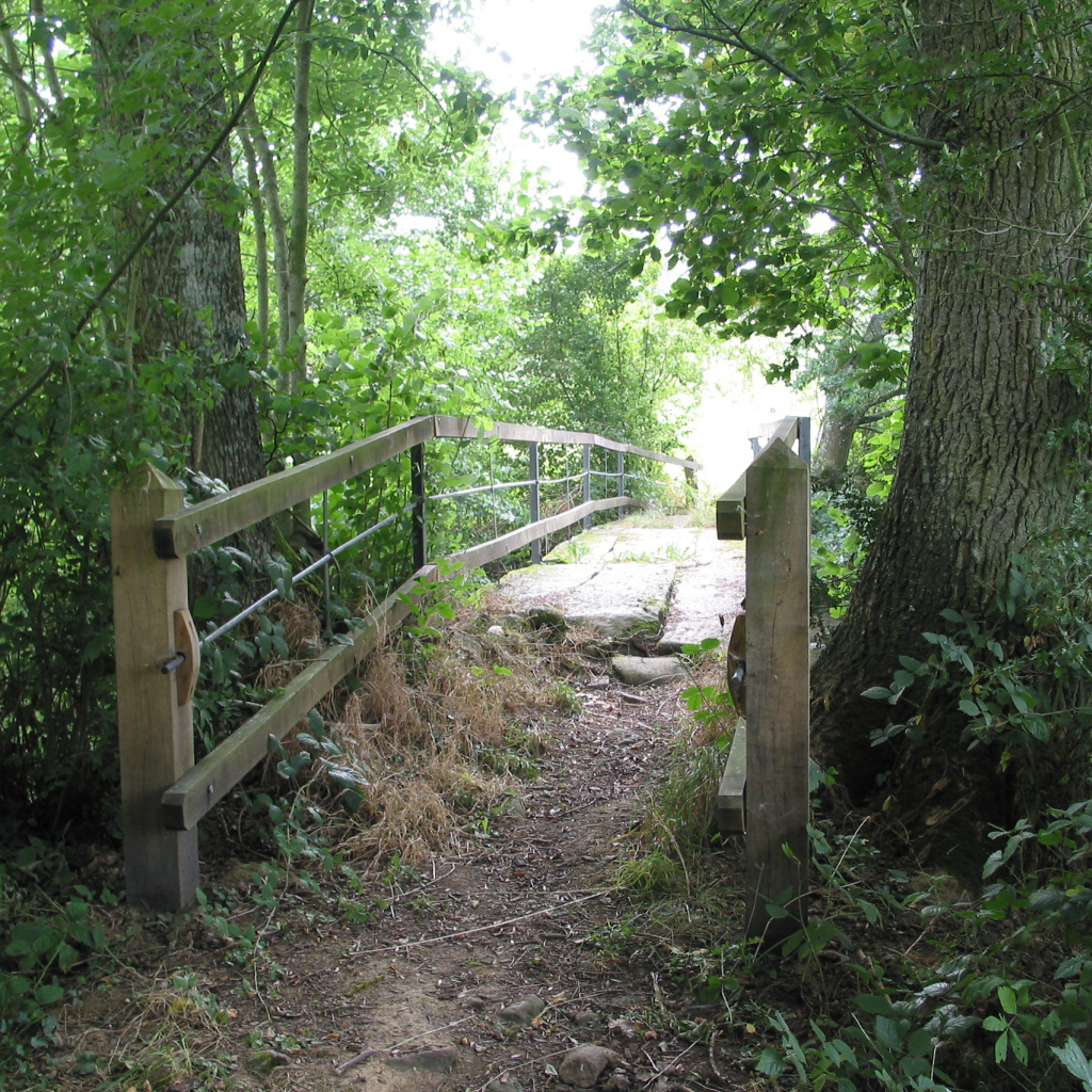 Лесная тропа в Нормандии, Франция