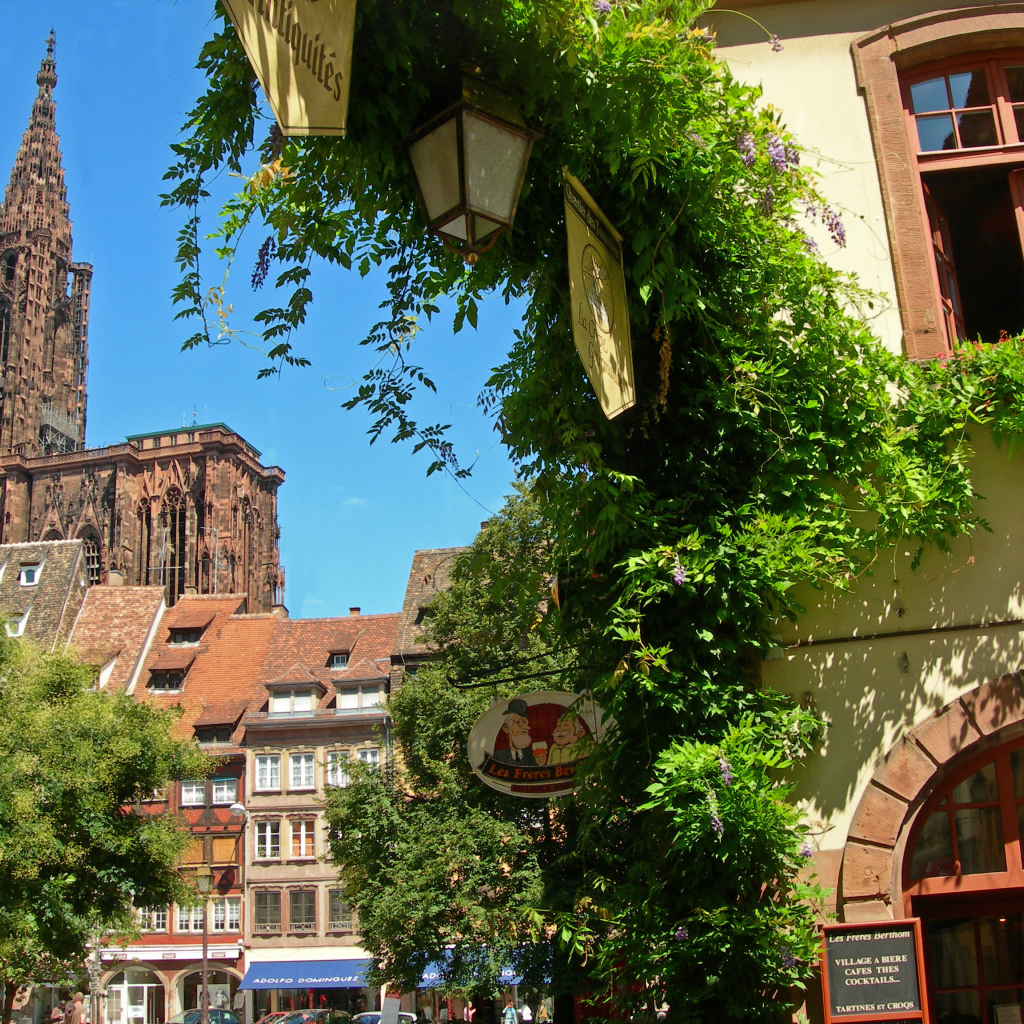 Зелень в городе Страсбург, Франция