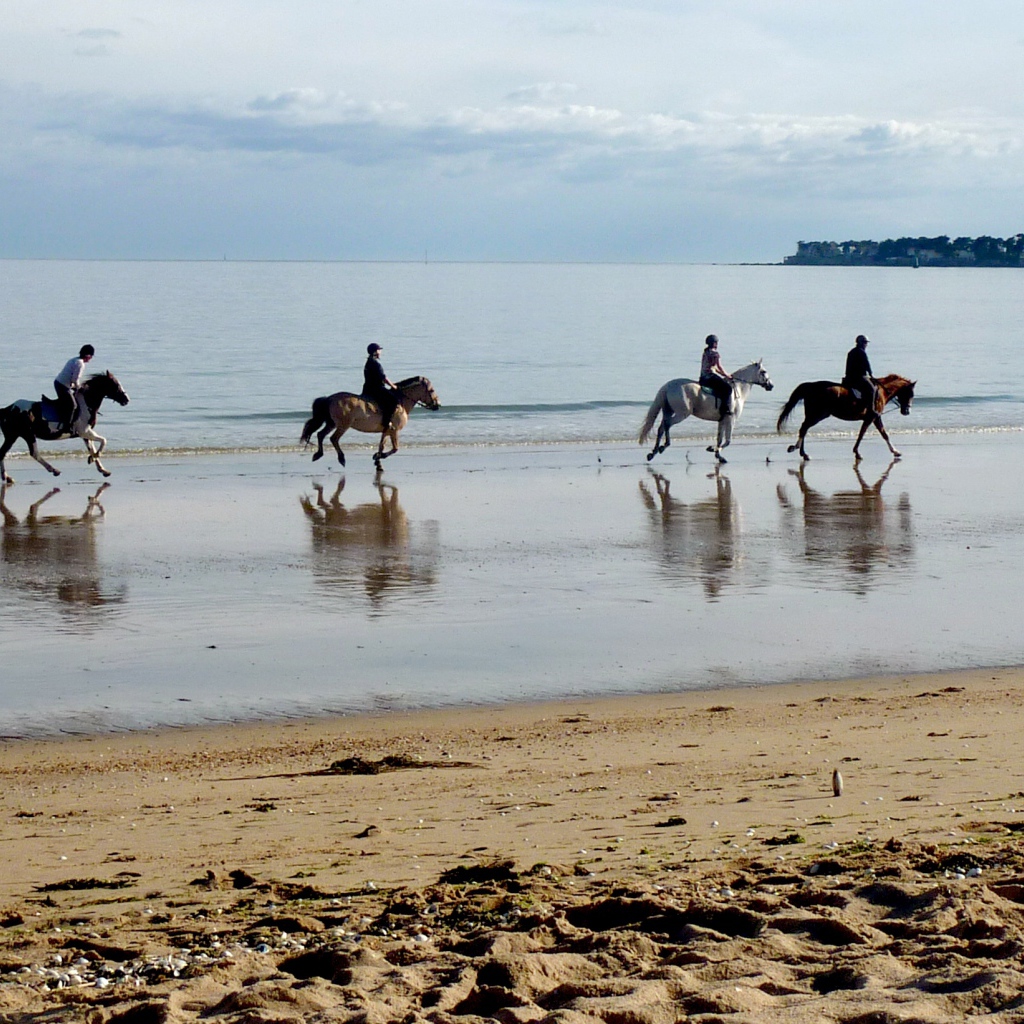 Конная прогулка на курорте Ла Боль, Франция