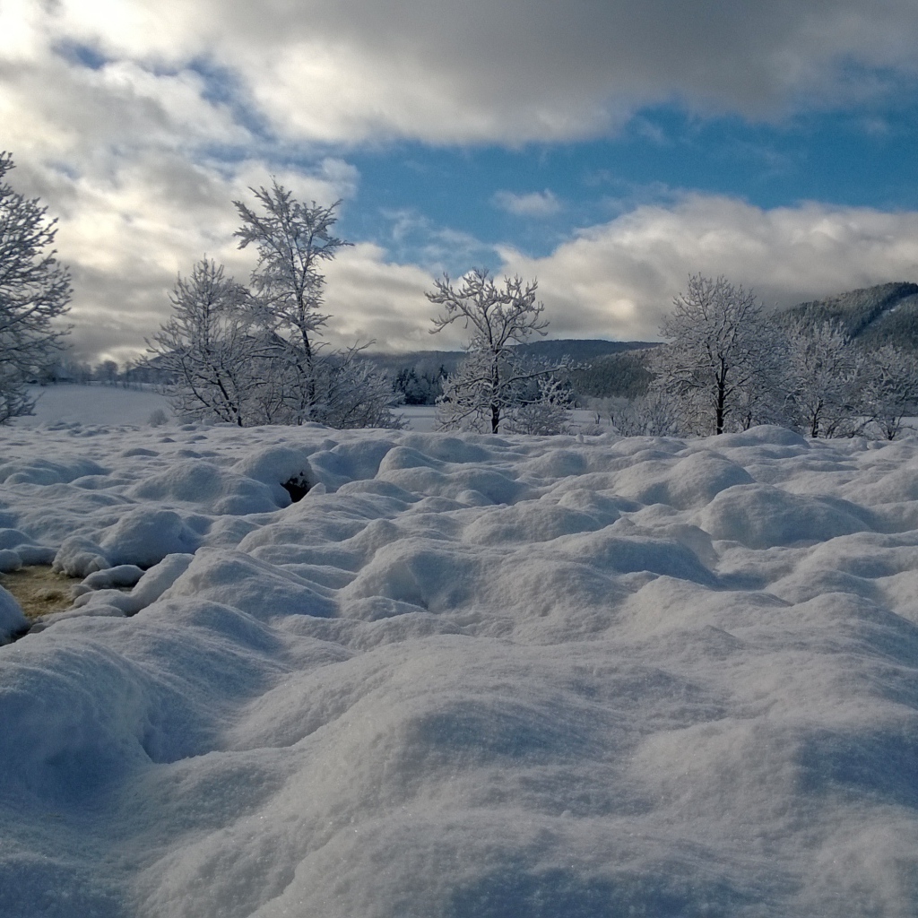 Горный ручей на курорте Виллар-де-Ланс, Франция