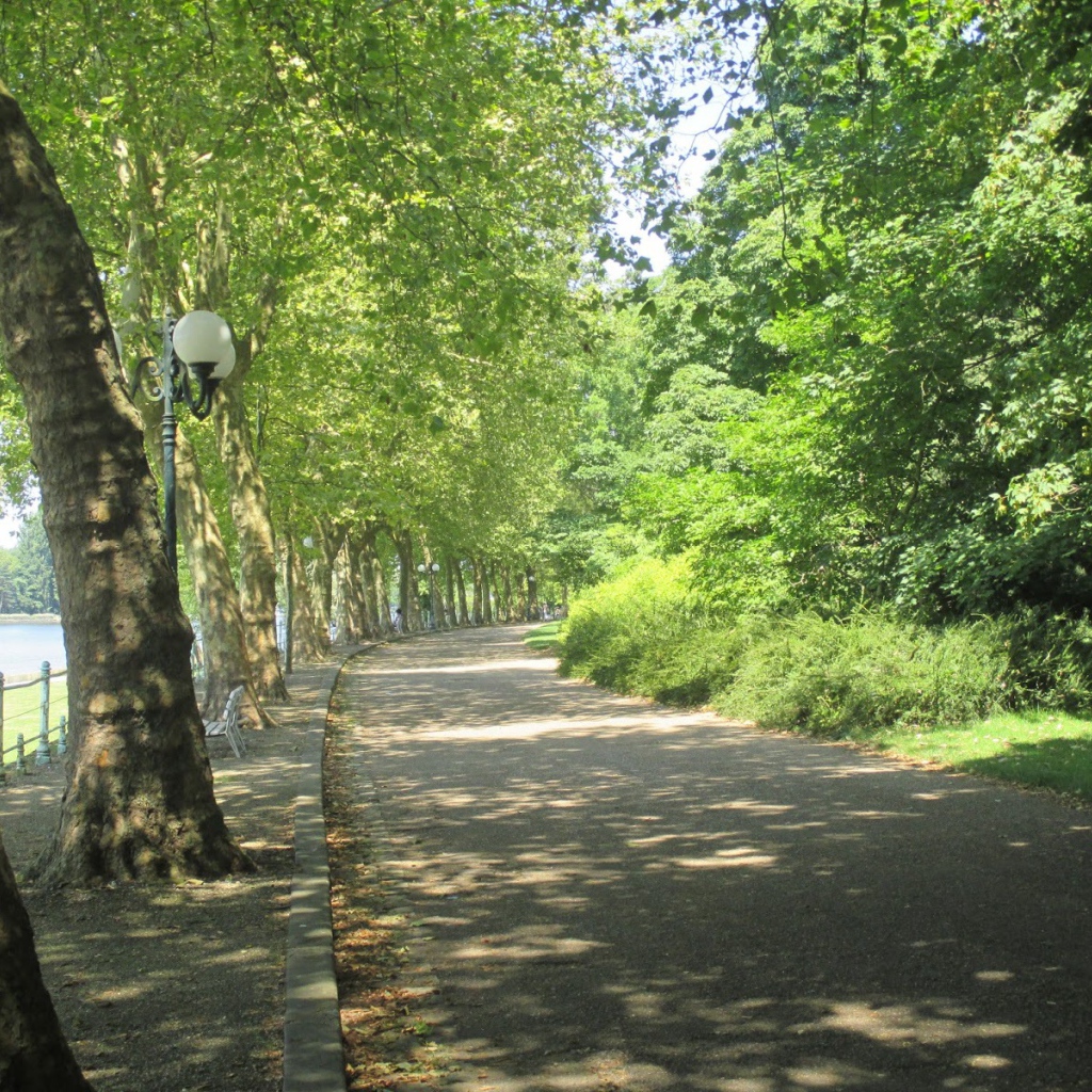 Парковая аллея в городе Виши, Франция