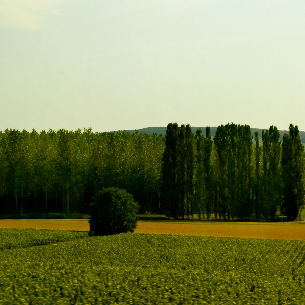 Сельский пейзаж в провинции Шампань, Франция