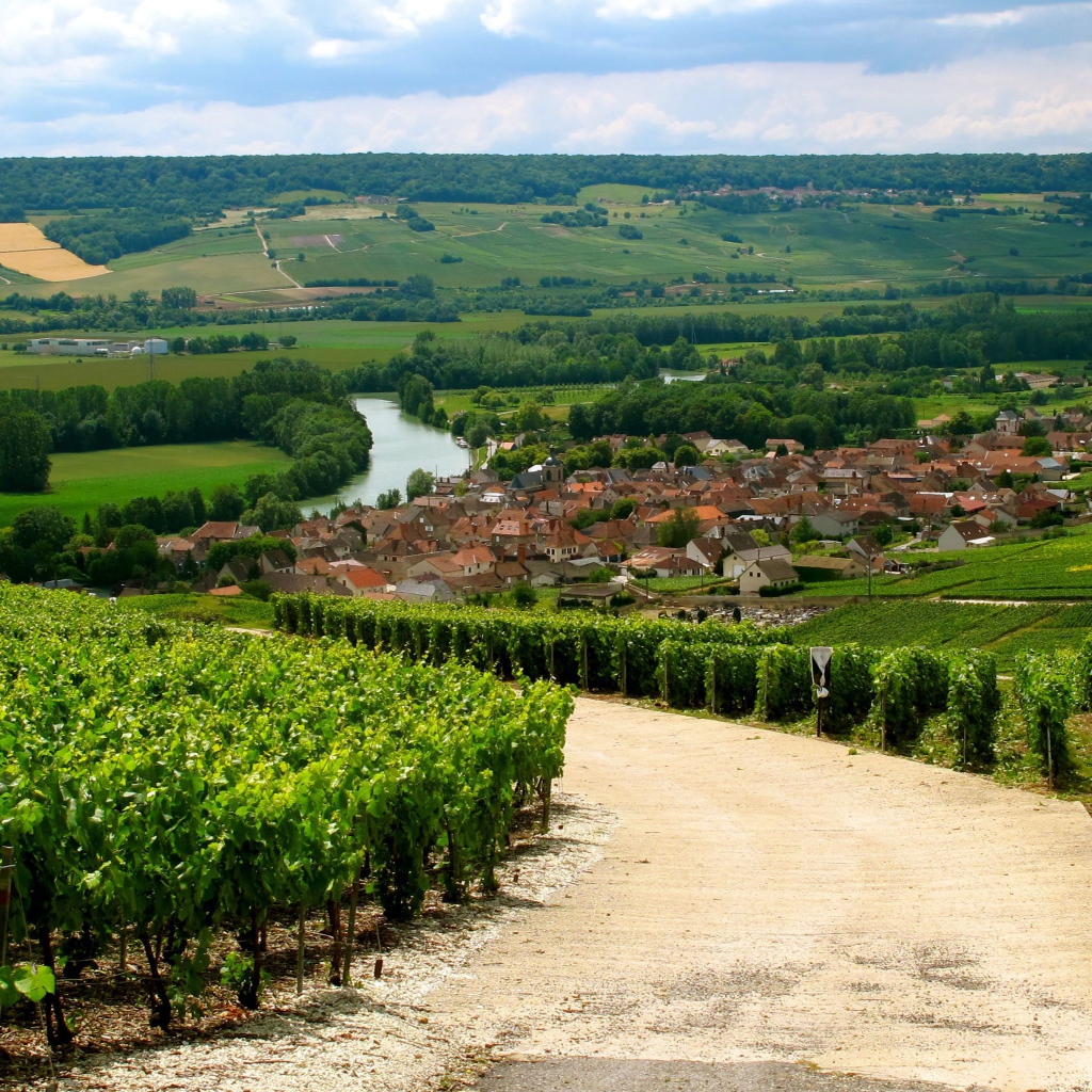 Дорога в провинции Шампань, Франция