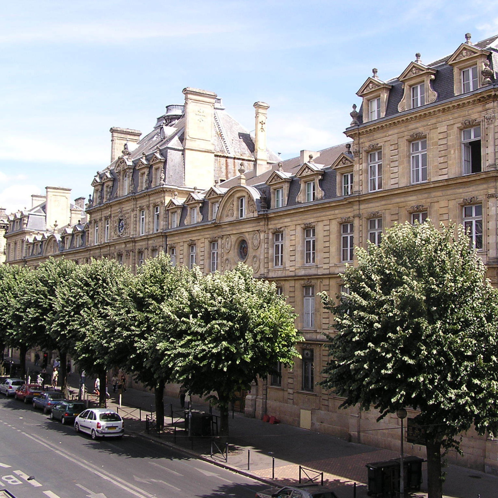 Деревья на улице в Бордо, Франция