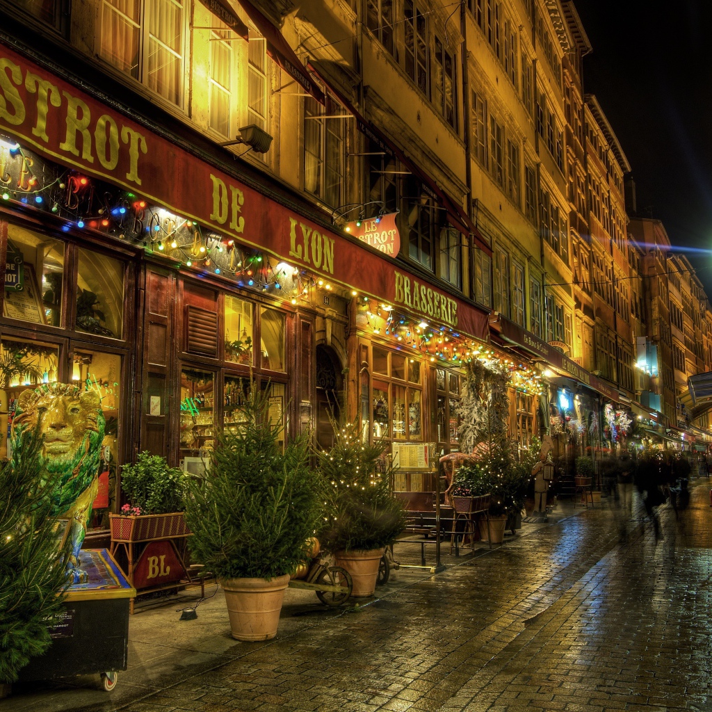 Прогулка по улице в городе Лион, Франция