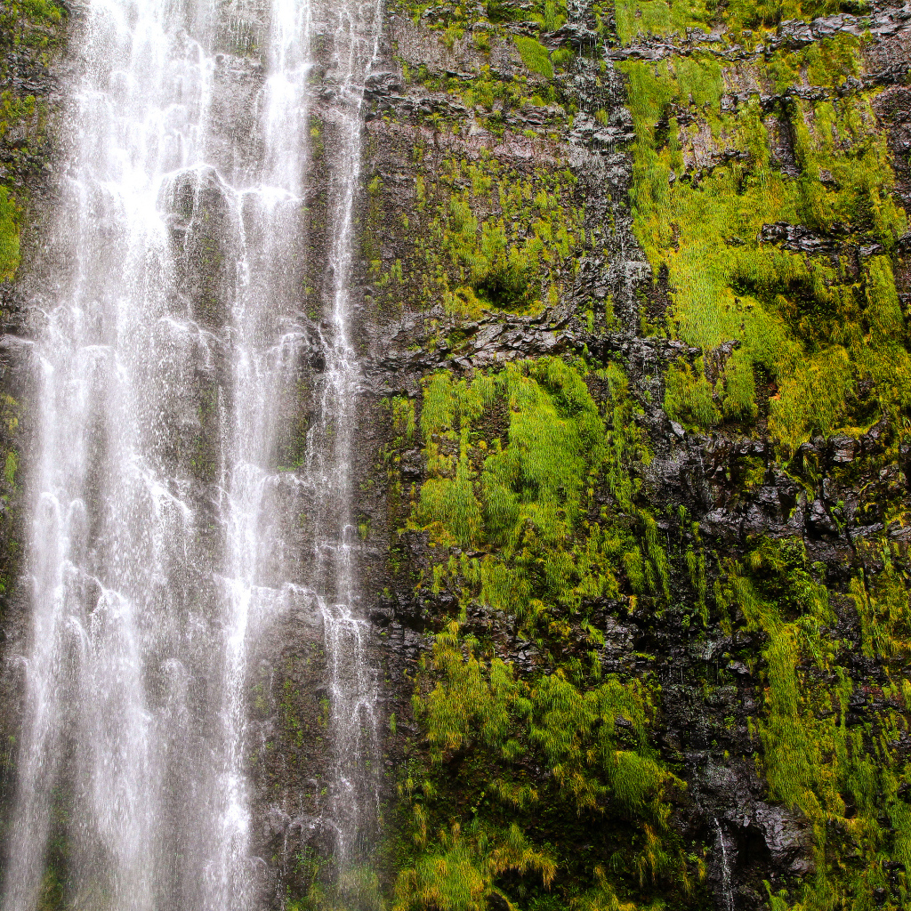 Красивый водопад Ваймоку на острове Мауи, Гавайи