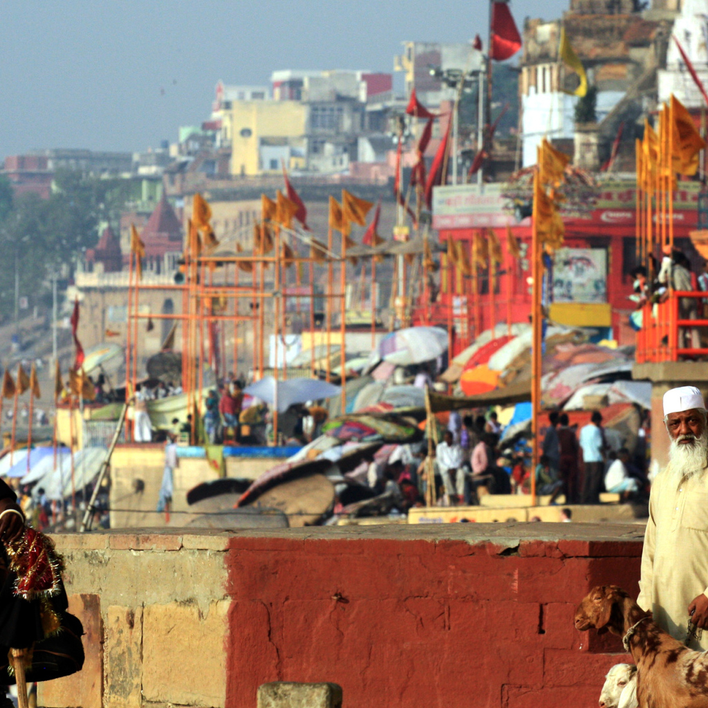 Житель Варанаси с козами