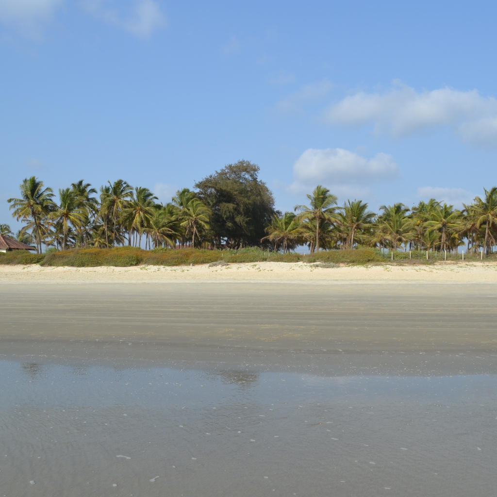 Осенний отпуск в Бенаулиме