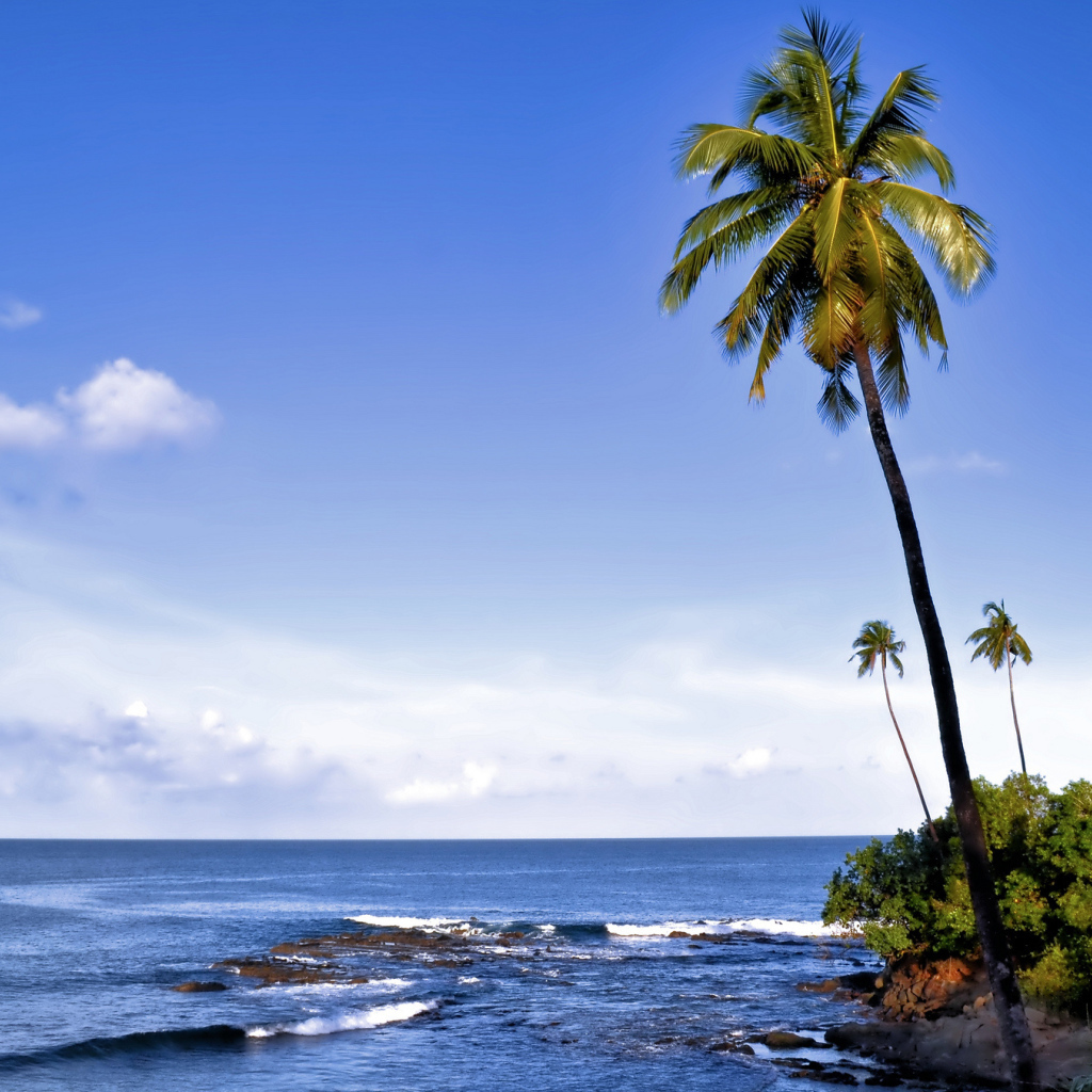 Осенний отпуск на Андаманских островах