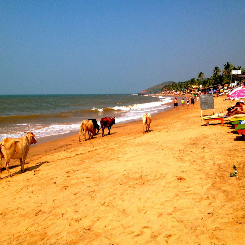 Пляжи в Анджуне