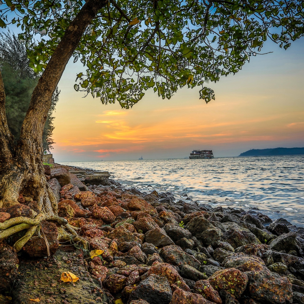 Красивые ландшафты в Гоа