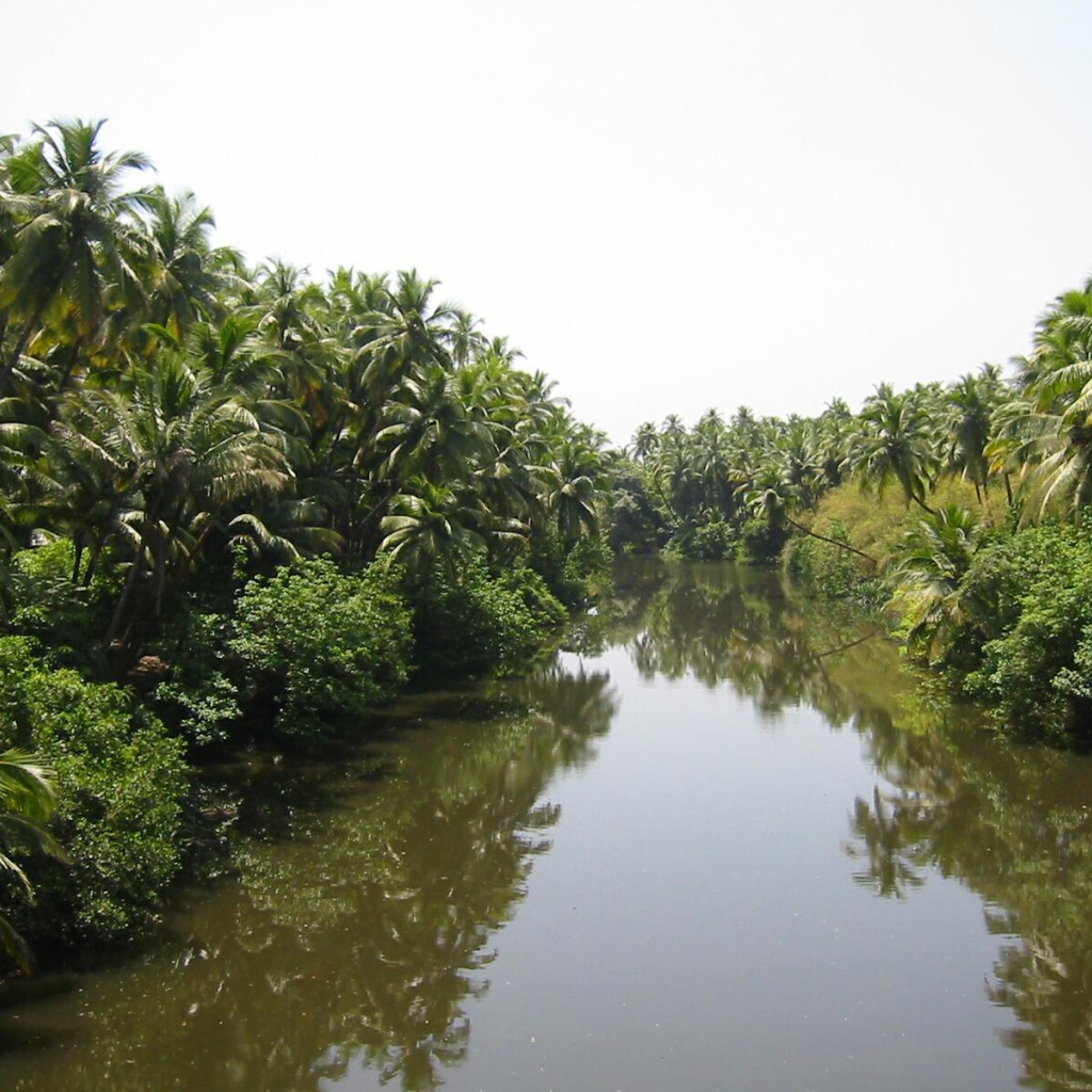 Красивая природа Гоа