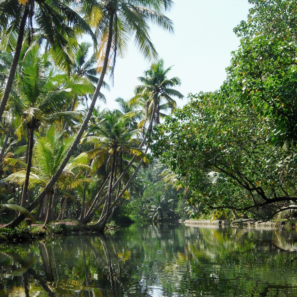 Красивая природа в Алапужа