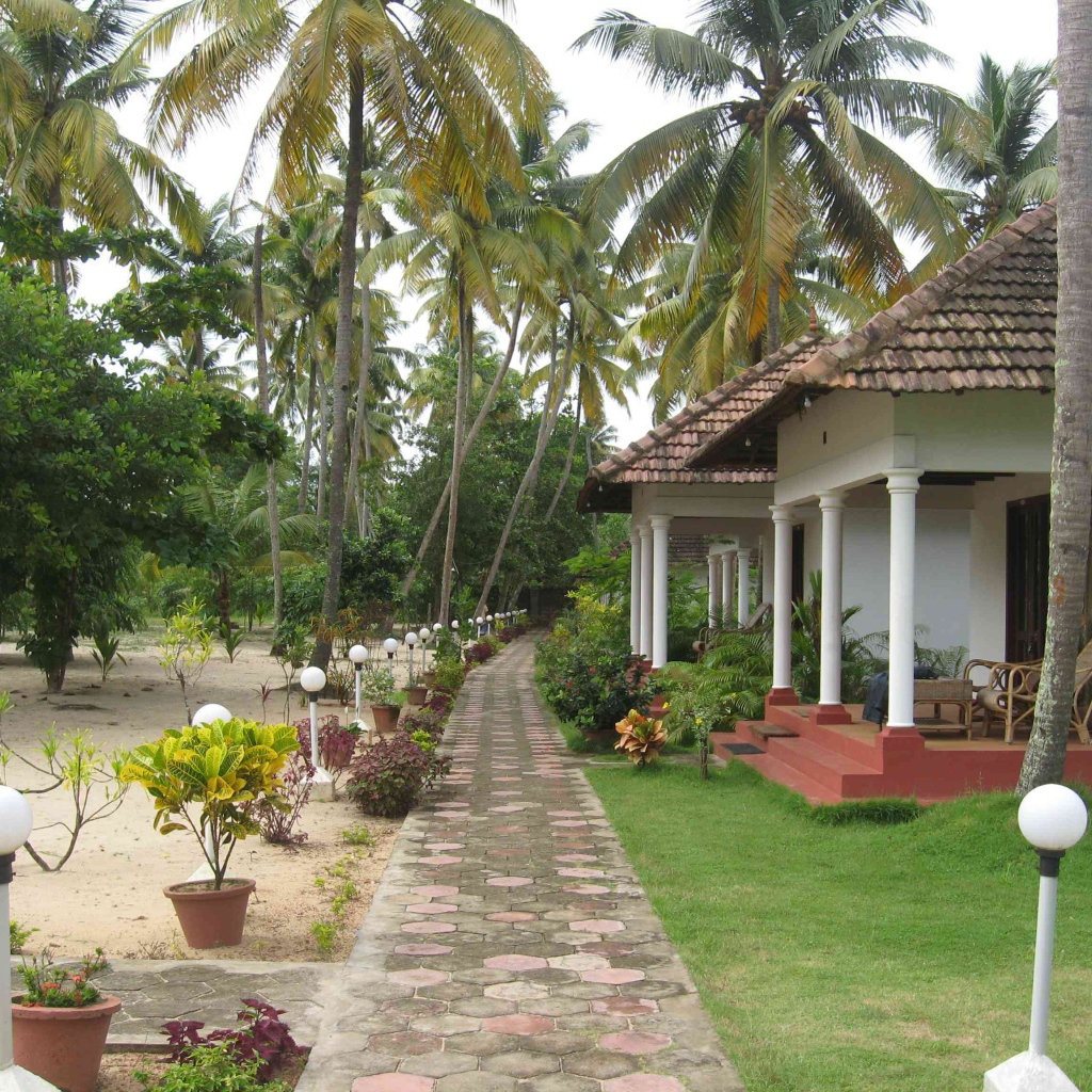 Красивые улицы в Алапуже