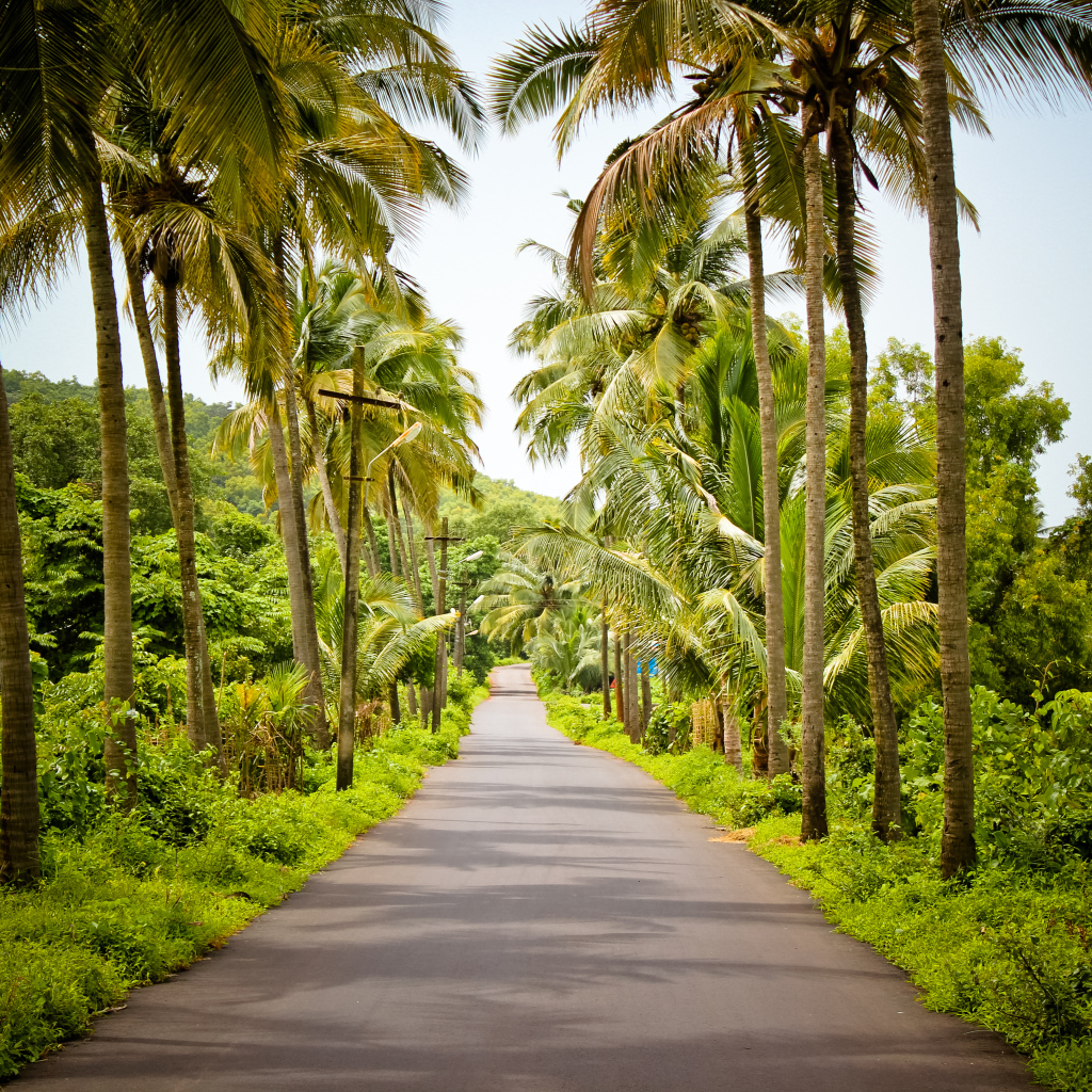 Красивые улицы в Гоа