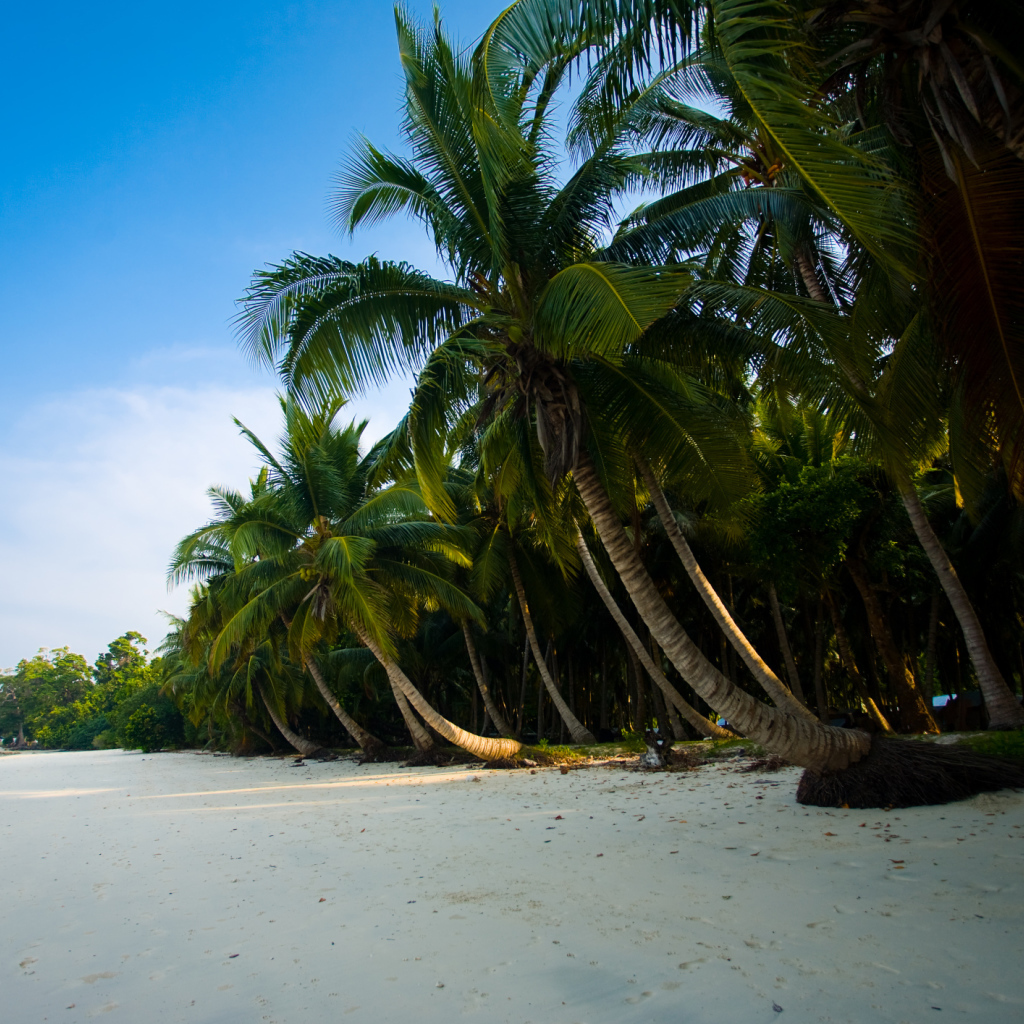Красивые улицы на Андаманских островах