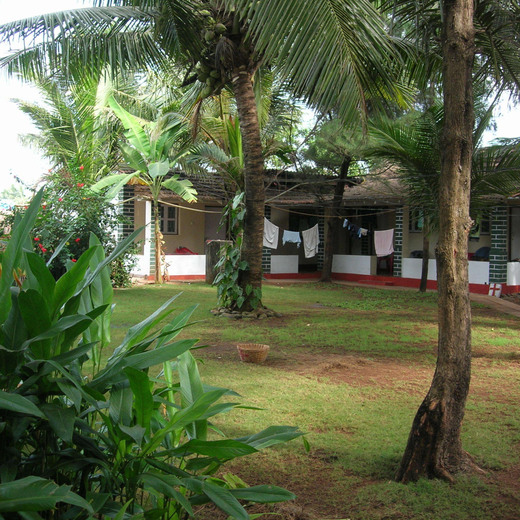 Красивые деревья в Бенаулиме