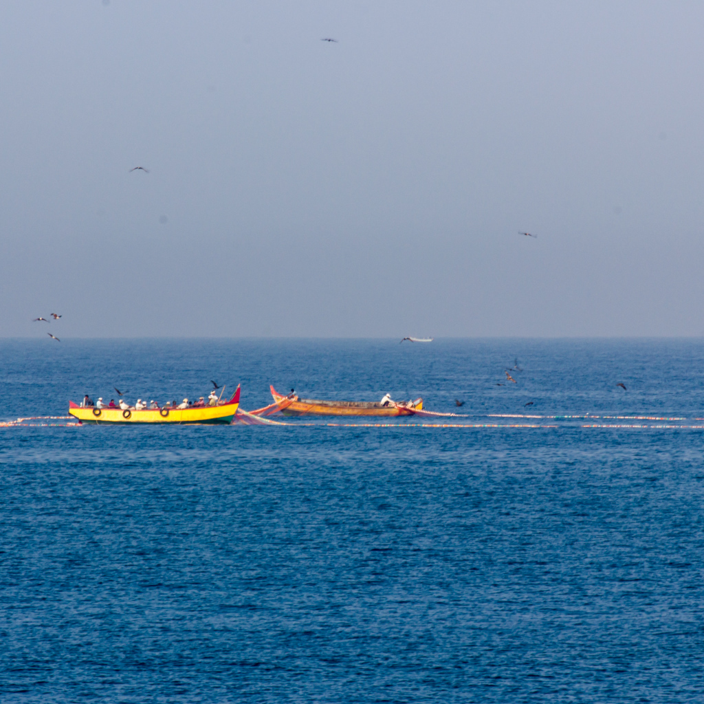 Лодки возле побережья в Варкале
