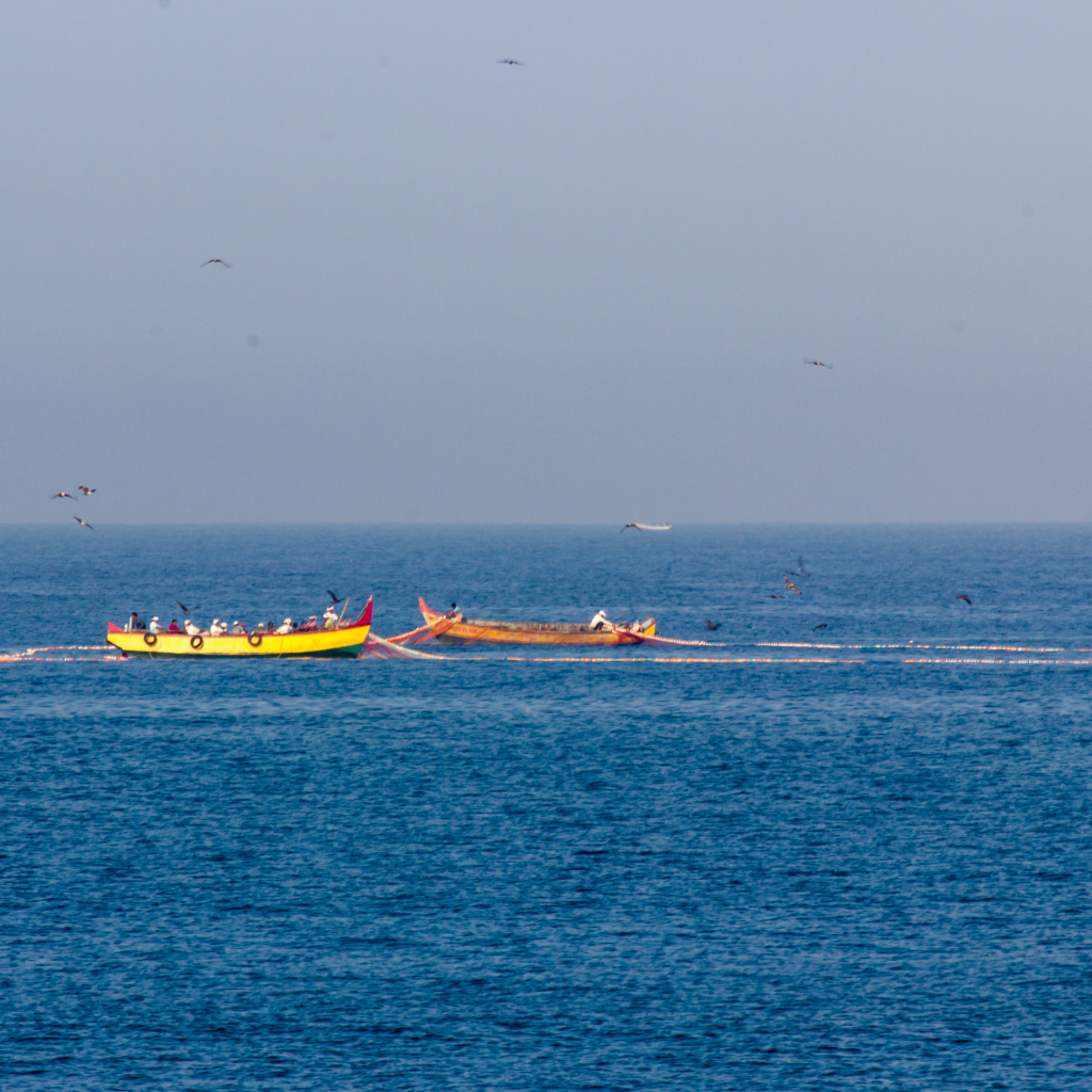 Лодки возле побережья в Варкале
