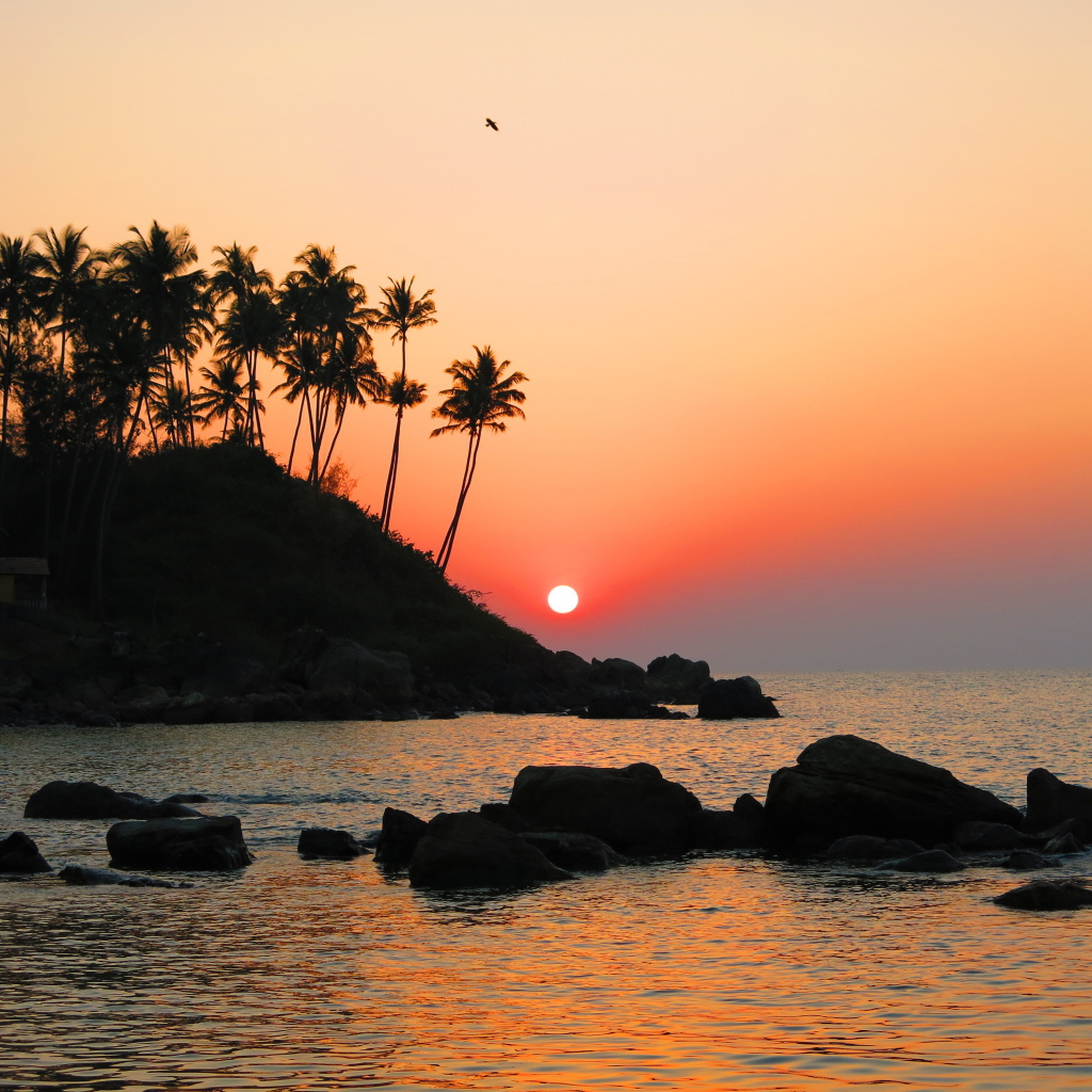 Вечер в Арамболе