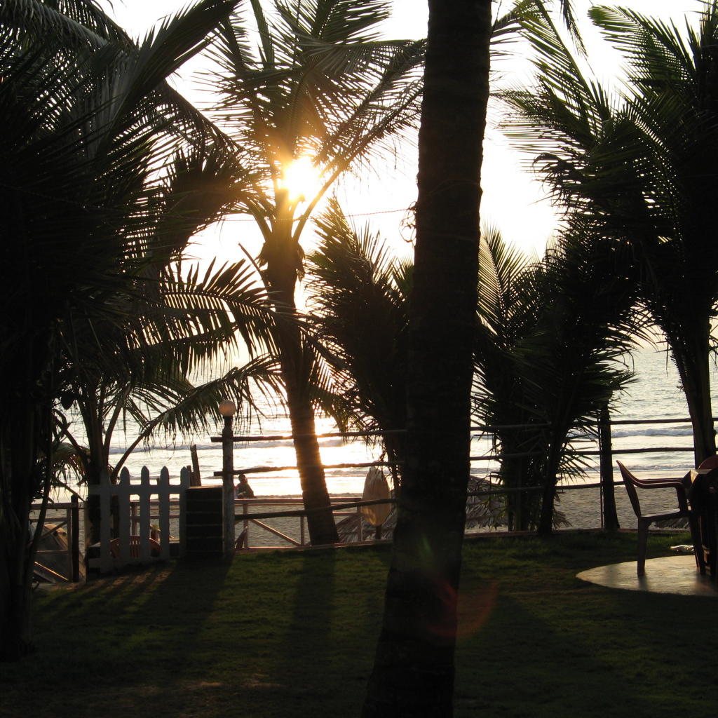 Вечером в Бенаулиме