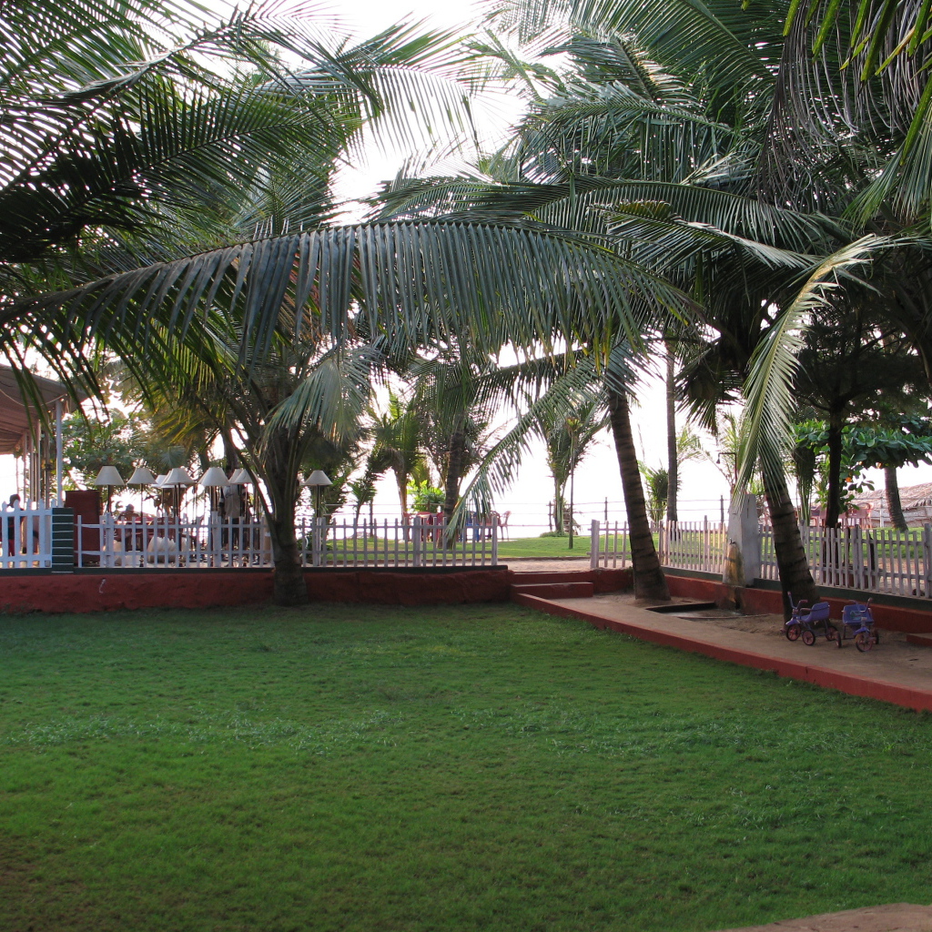 Ухоженные газоны в Бенаулиме