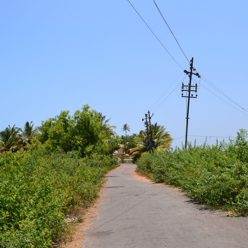 Природа в Бенаулиме