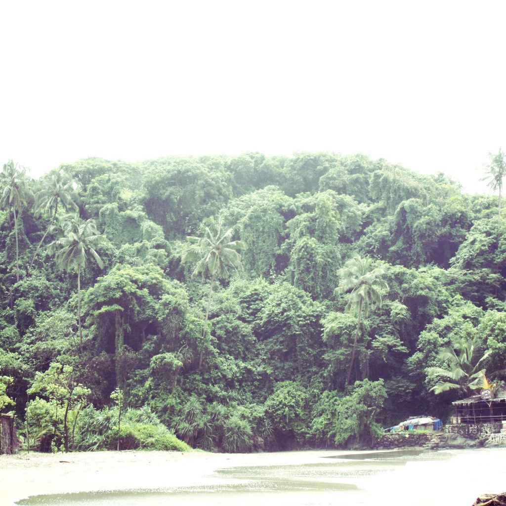 Природа в Вагаторе