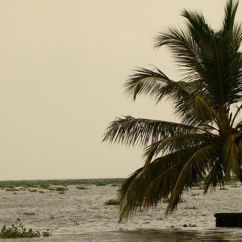 Весенний отпуск в Алапуже
