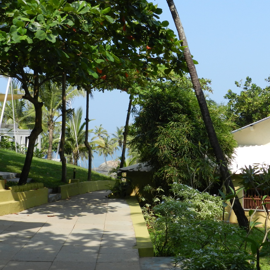 Летний отпуск в Анджуне