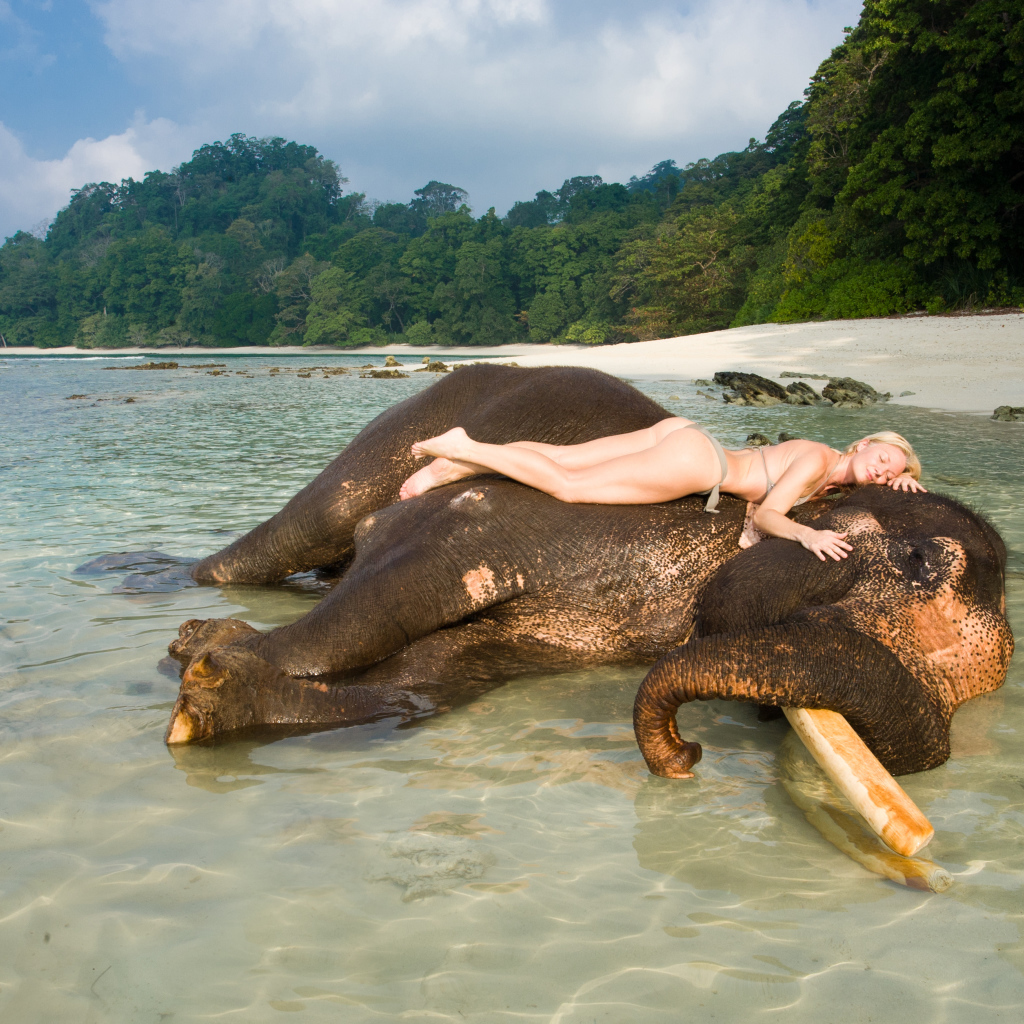Девушка на слоне на Андаманских островах
