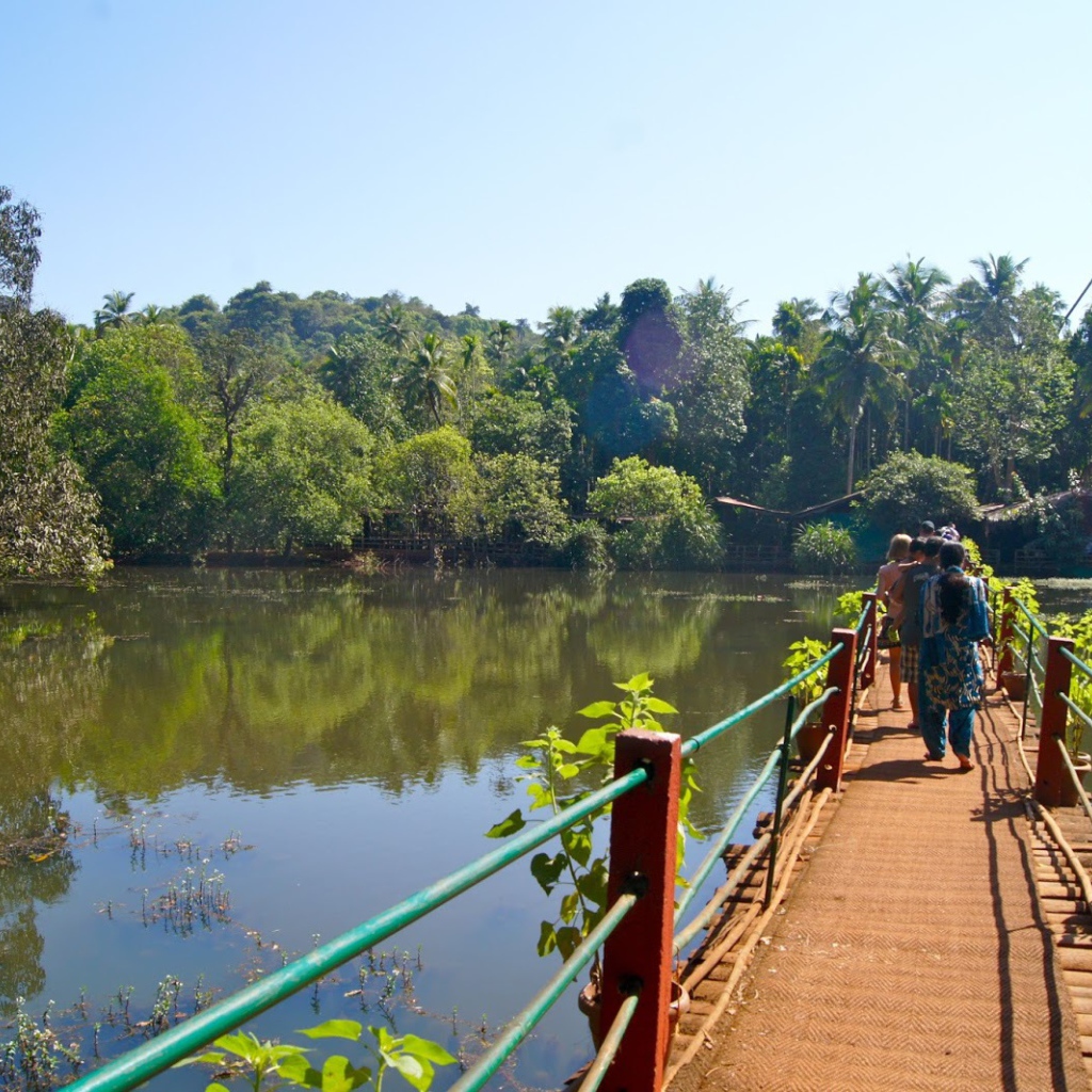 Туристы на мостике в Гоа