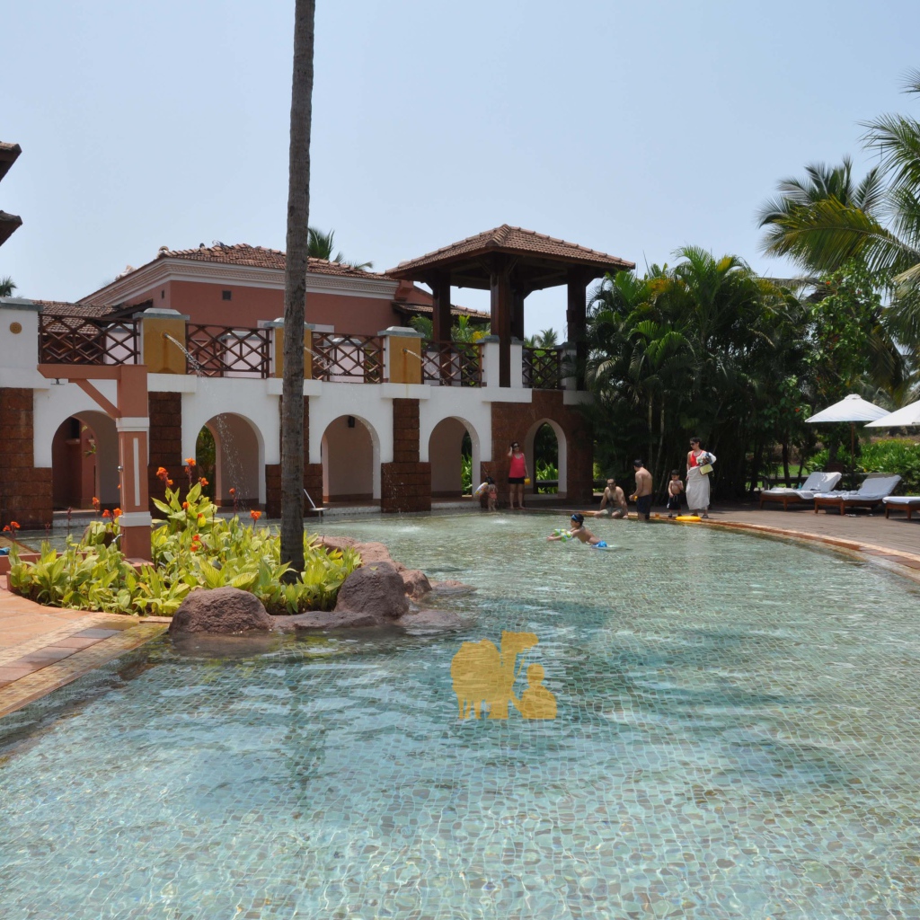 Туристы отдыхают в Гоа