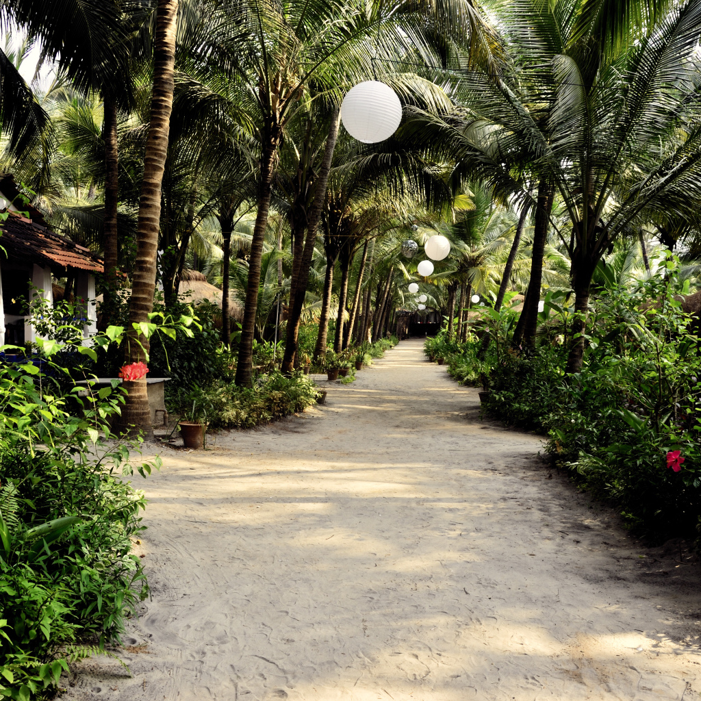 Прогулка по улицам Ашвема